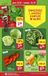 Gazetka promocyjna Aldi - Gwiazdy świątecznego stołu - Gazetka - ważna od 14.12 do 14.12.2025 - strona 4 - produkty: Sałata lodowa, Rukola, Sałat, Pomidory, Szpinak