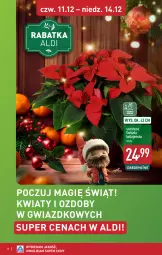 Gazetka promocyjna Aldi - Gwiazdy świątecznego stołu - Gazetka - ważna od 14.12 do 14.12.2025 - strona 8 - produkty: Gwiazda