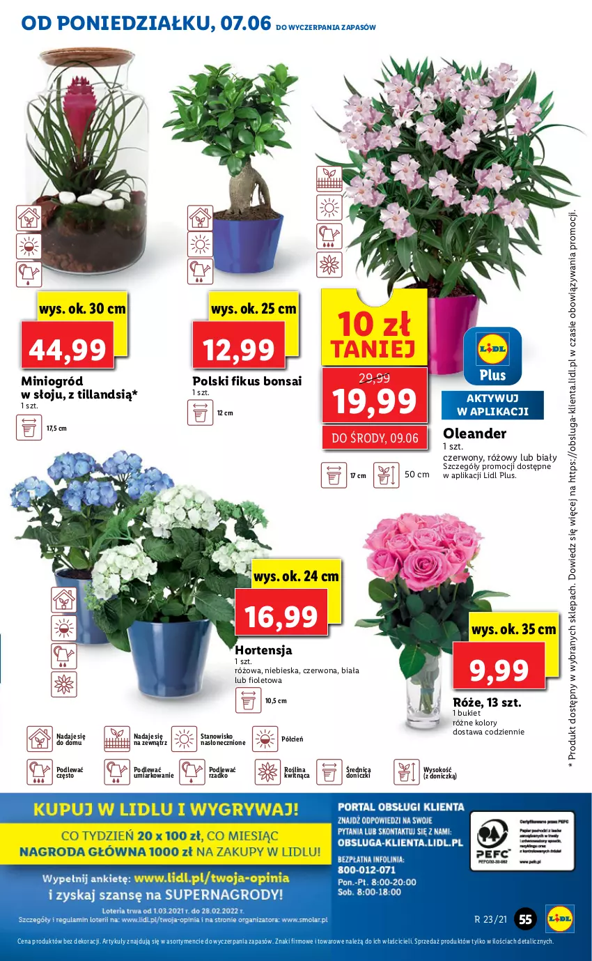 Gazetka promocyjna Lidl - GAZETKA - ważna 07.06 do 09.06.2021 - strona 55 - produkty: Bukiet, Cień, O nas, Ogród, Sok