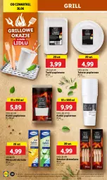 Gazetka promocyjna Lidl - GAZETKA - Gazetka - ważna od 29.06 do 29.06.2025 - strona 26 - produkty: Papier, Talerz, Woreczki do lodu, Grill