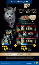 Gazetka promocyjna Lidl - GAZETKA - Gazetka - ważna od 18.02 do 18.02.2026 - strona 47 - produkty: Sheba