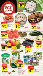 Gazetka promocyjna Intermarche - Gazetka Intermarche - Gazetka - ważna od 02.05 do 02.05.2023 - strona 7 - produkty: Piec, Ser, Por, Bell, Papryka, Lion, Sałat, Portobello, Pieczarka, Mieszanka sałat, Grill, Boczniak, Fa