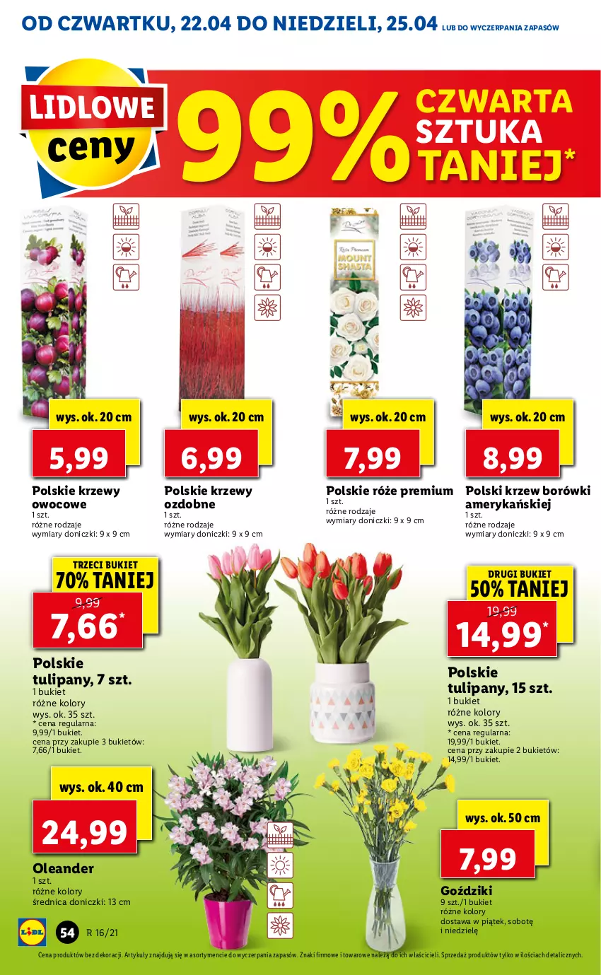 Gazetka promocyjna Lidl - GAZETKA - ważna 22.04 do 25.04.2021 - strona 54 - produkty: Bukiet, Tulipan