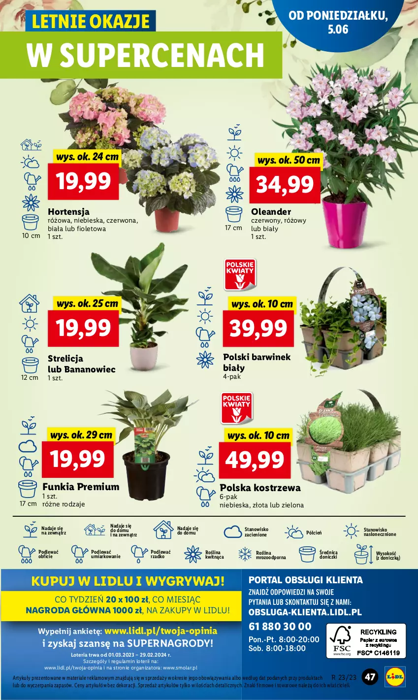 Gazetka promocyjna Lidl - GAZETKA - ważna 05.06 do 07.06.2023 - strona 51 - produkty: Cień, Gry, Mola, O nas, Por, Sok