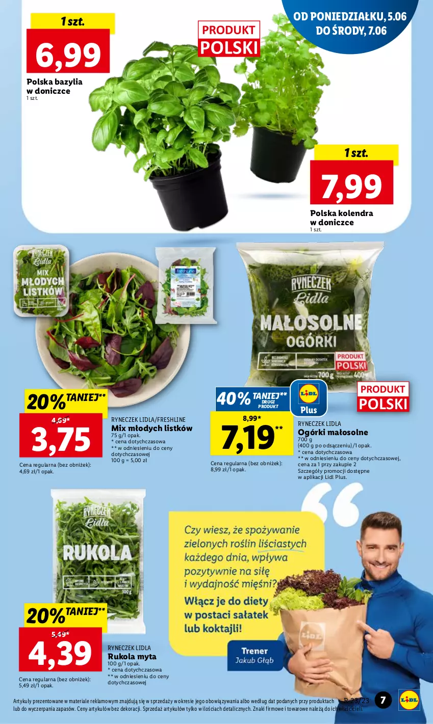 Gazetka promocyjna Lidl - GAZETKA - ważna 05.06 do 07.06.2023 - strona 7 - produkty: Bazyl, Bazylia, Kolendra, Lazur, Rukola