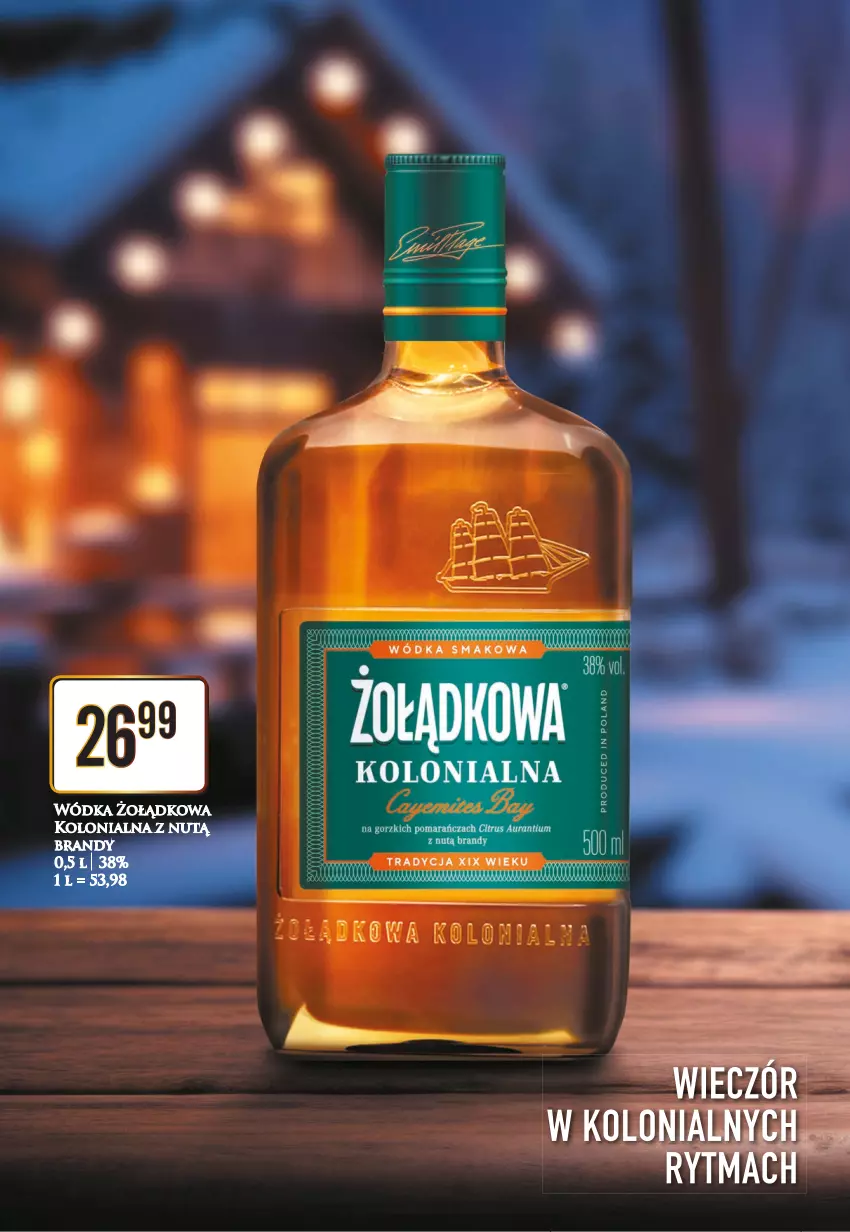 Gazetka promocyjna Dino - Katalog alkoholowy 22-28.01 - ważna 22.01 do 28.01.2024 - strona 9 - produkty: Brandy, Wódka