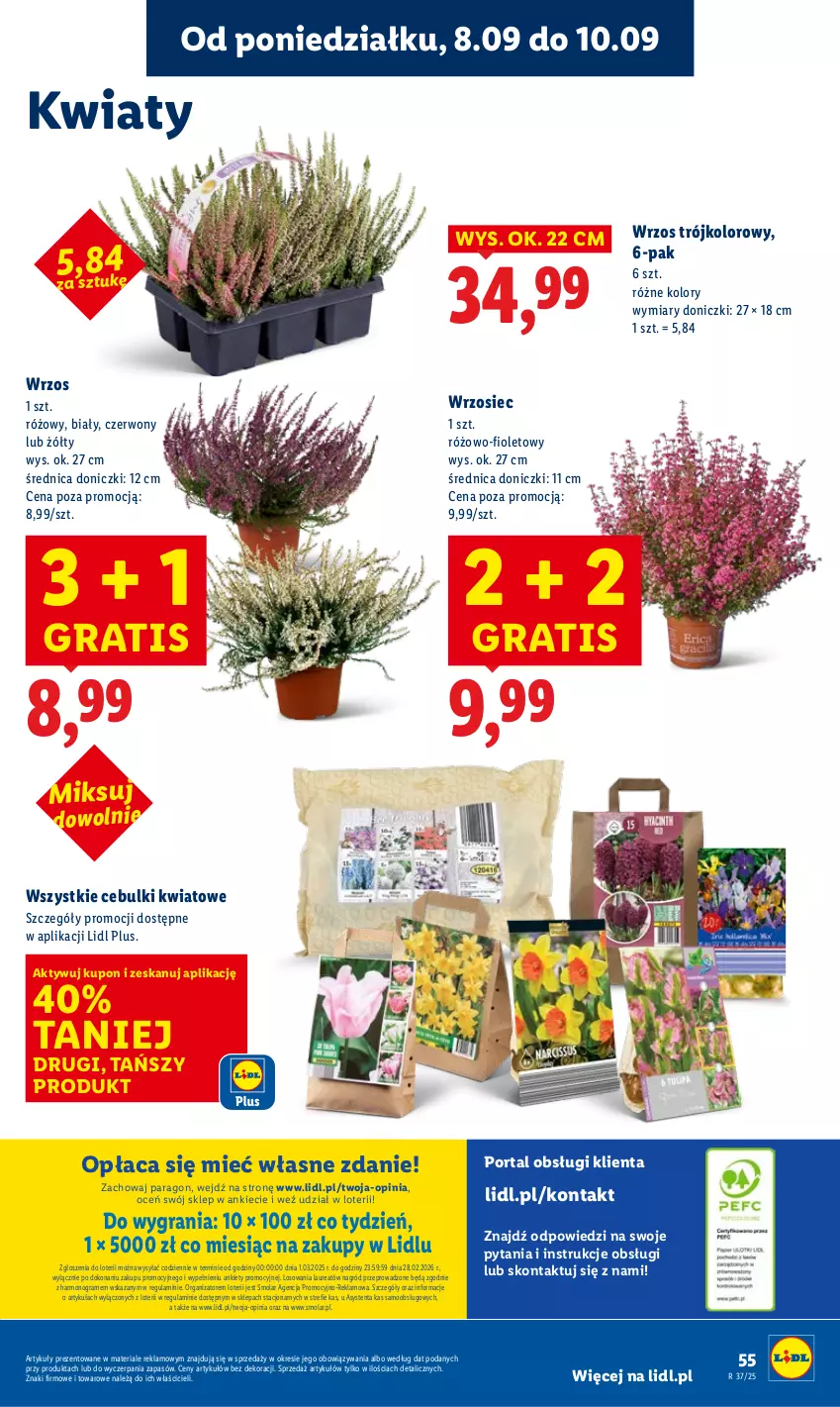 Gazetka promocyjna Lidl - GAZETKA - ważna 08.09 do 10.09.2025 - strona 61 - produkty: Gra, Laur, Mola, Por, Portal