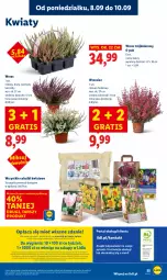 Gazetka promocyjna Lidl - GAZETKA - Gazetka - ważna od 10.09 do 10.09.2025 - strona 61 - produkty: Por, Gra, Portal, Laur, Mola