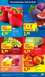 Gazetka promocyjna Lidl - GAZETKA - Gazetka - ważna od 10.09 do 10.09.2025 - strona 9 - produkty: Mandarynki, Gra, Papryka czerwona, Papryka, Winogrona, Figi, Wino, Gala, Jabłka