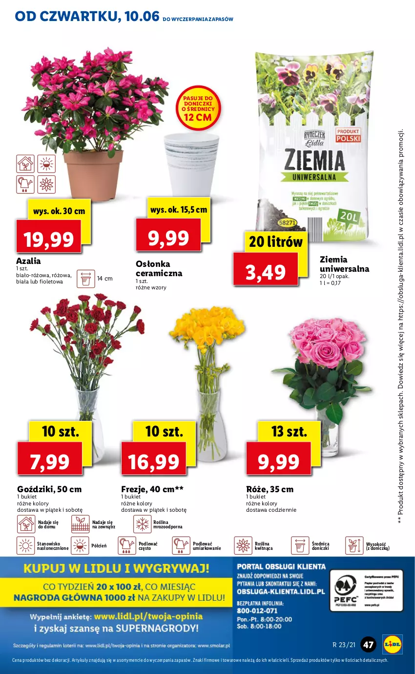 Gazetka promocyjna Lidl - GAZETKA - ważna 10.06 do 12.06.2021 - strona 47 - produkty: Bukiet, Cień, O nas, Osłonka, Por, Sok