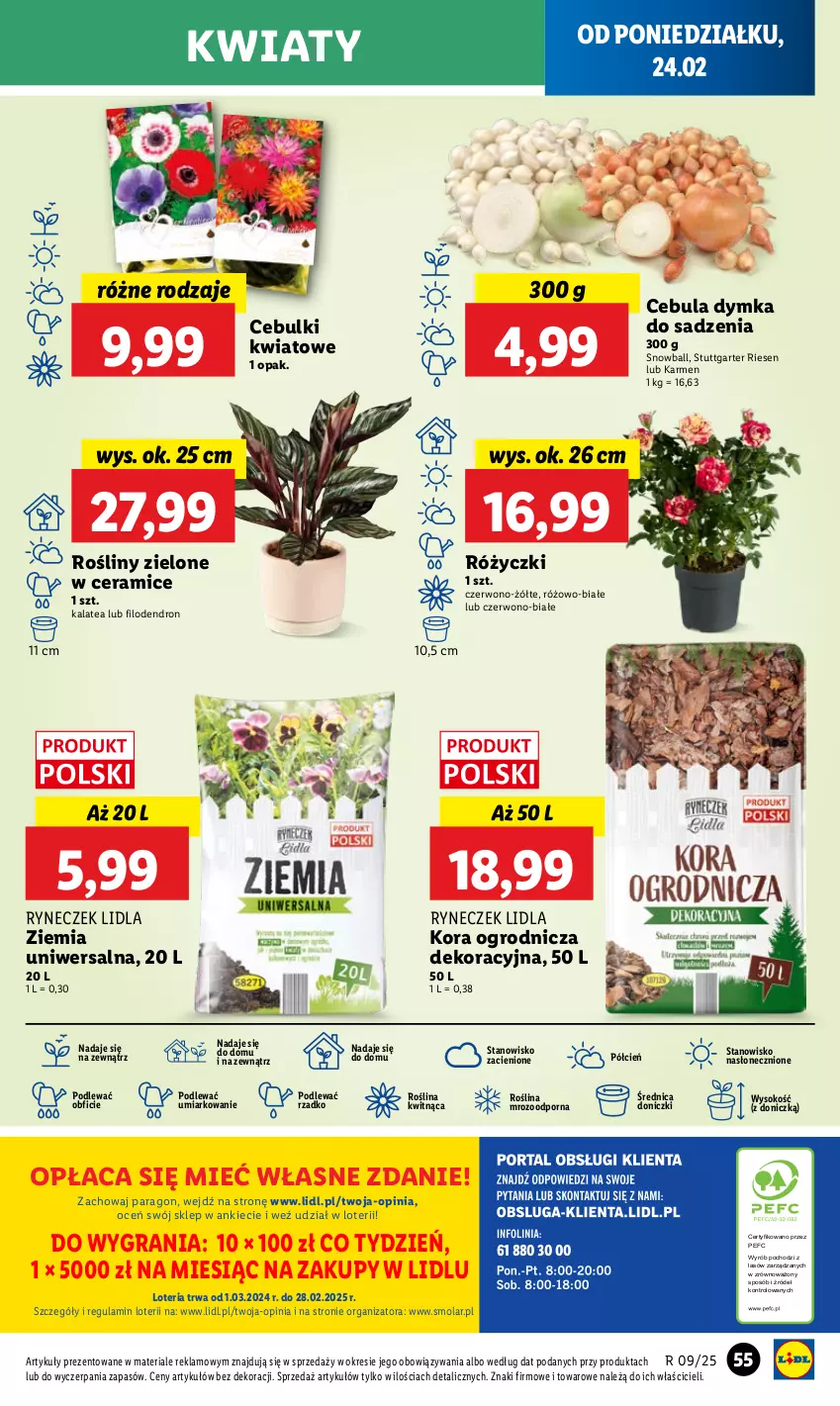 Gazetka promocyjna Lidl - GAZETKA - ważna 24.02 do 26.02.2025 - strona 59 - produkty: Cebula, Cień, Dron, Gra, Mola, O nas, Por, Sok