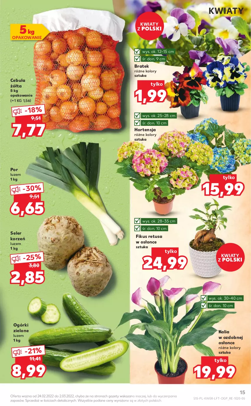 Gazetka promocyjna Kaufland - OFERTA TYGODNIA - ważna 24.02 do 02.03.2022 - strona 15 - produkty: Cebula, Por, Seler korzeń