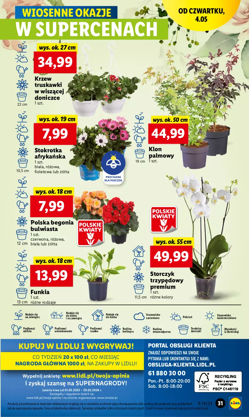 Gazetka promocyjna Lidl - GAZETKA - ważna 04.05 do 06.05.2023 - strona 43 - produkty: Cień, Gry, Mola, O nas, Por, Sok, Storczyk, Truskawki