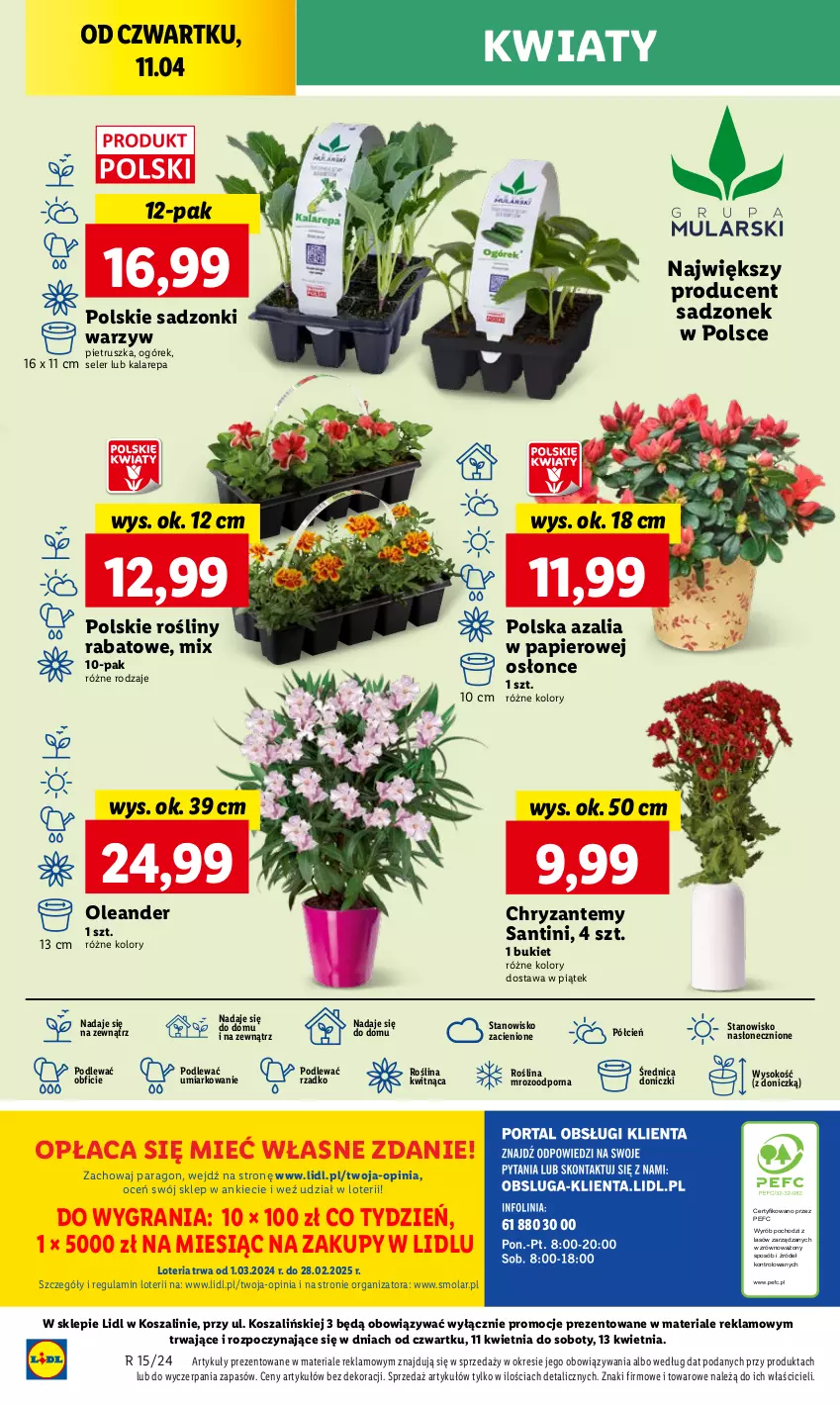 Gazetka promocyjna Lidl - GAZETKA - ważna 11.04 do 13.04.2024 - strona 38 - produkty: Bukiet, Cień, Gra, Kosz, Mola, O nas, Ogórek, Papier, Pietruszka, Por, Sok, Szal