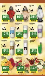 Gazetka promocyjna Delikatesy Centrum - Franczyza DC39 Czwartek - Gazetka - ważna od 01.10 do 01.10.2025 - strona 50 - produkty: Róża, Zapalarka, Bukiet, Znicz, Olej, Wkład olejowy