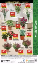 Gazetka promocyjna Delikatesy Centrum - Franczyza DC39 Czwartek - Gazetka - ważna od 01.10 do 01.10.2025 - strona 52 - produkty: Gra, Bukiet