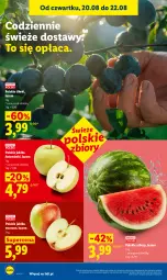Gazetka promocyjna Lidl - Gazetka ważna od 20.08 do 22.08 - Gazetka - ważna od 22.08 do 22.08.2026 - strona 44 - produkty: Arbuz, Jabłka