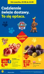 Gazetka promocyjna Lidl - Gazetka ważna od 20.08 do 22.08 - Gazetka - ważna od 22.08 do 22.08.2026 - strona 46 - produkty: Ser, Brzoskwinie