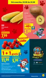 Gazetka promocyjna Lidl - Gazetka ważna od 20.08 do 22.08 - Gazetka - ważna od 22.08 do 22.08.2026 - strona 47 - produkty: Ser, Gra, Kiwi, Pomidory, Kukurydza