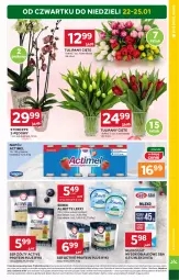 Gazetka promocyjna Stokrotka - Supermarket - Gazetka - ważna od 28.01 do 28.01.2026 - strona 5 - produkty: Warzywa, Sok, Ser, Danone, Tulipan, Mlekovita, Actimel, Serek, Optima, Storczyk, Hochland, Bukiet, Owoce, Napój, Almette, Mięso, Mleko