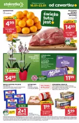 Gazetka promocyjna Stokrotka - Market - Gazetka - ważna od 22.01 do 22.01.2025 - strona 1 - produkty: Mandarynki, Krakus, Warzywa, Ser, Por, Gra, Szynka wieprzowa, Szynka, Storczyk, Mleczko, Czekolada, Owoce, Masło, Mięso, Milka, NOWAK, Mleko