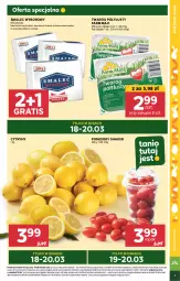 Gazetka promocyjna Stokrotka - Supermarket - Gazetka - ważna od 20.03 do 20.03.2024 - strona 5 - produkty: Warzywa, Por, Gra, Twaróg, Cytryny, Smalec, Farm Milk, Twaróg półtłusty, Owoce, Pomidory, Mięso, Fa