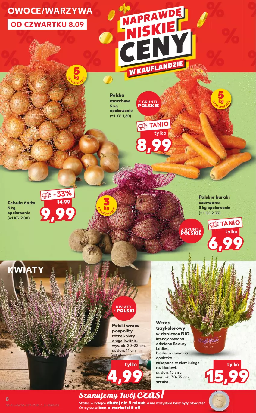 Gazetka promocyjna Kaufland - OFERTA TYGODNIA - ważna 08.09 do 14.09.2022 - strona 8 - produkty: Buraki, Cebula, Gra, Grunt, Olej, Owoce, Warzywa