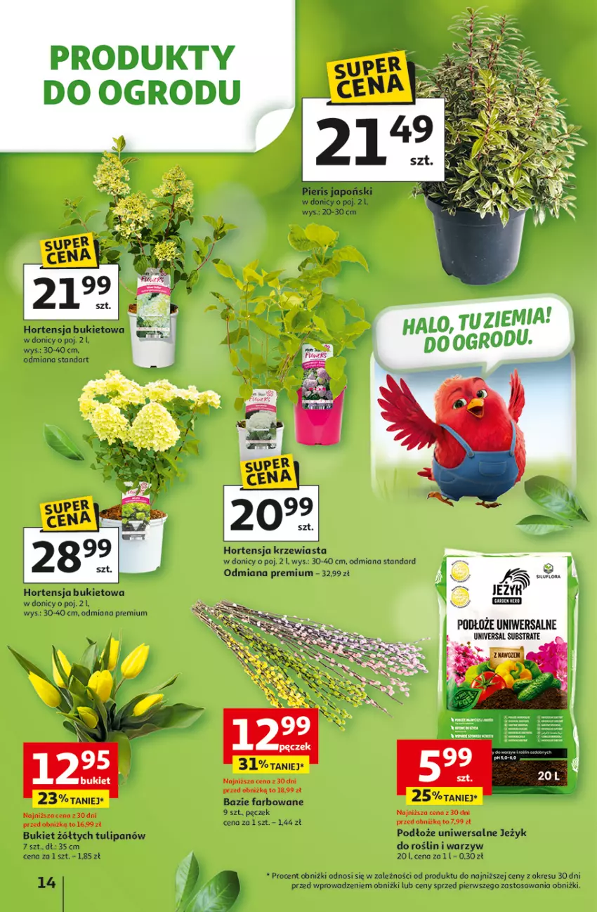 Gazetka promocyjna Auchan - Gazetka 30 Lat Hipermarket Auchan - ważna 31.03 do 04.04.2026 - strona 14 - produkty: Bukiet, Fa, Paola, Tulipan