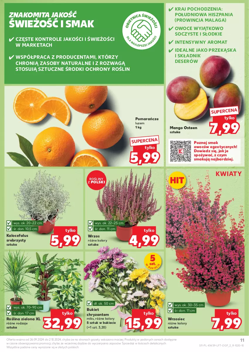 Gazetka promocyjna Kaufland - Gazetka tygodnia - ważna 26.09 do 02.10.2024 - strona 11 - produkty: Bukiet, Deser, Fa, Mango, Owoce, Pomarańcze, Ser