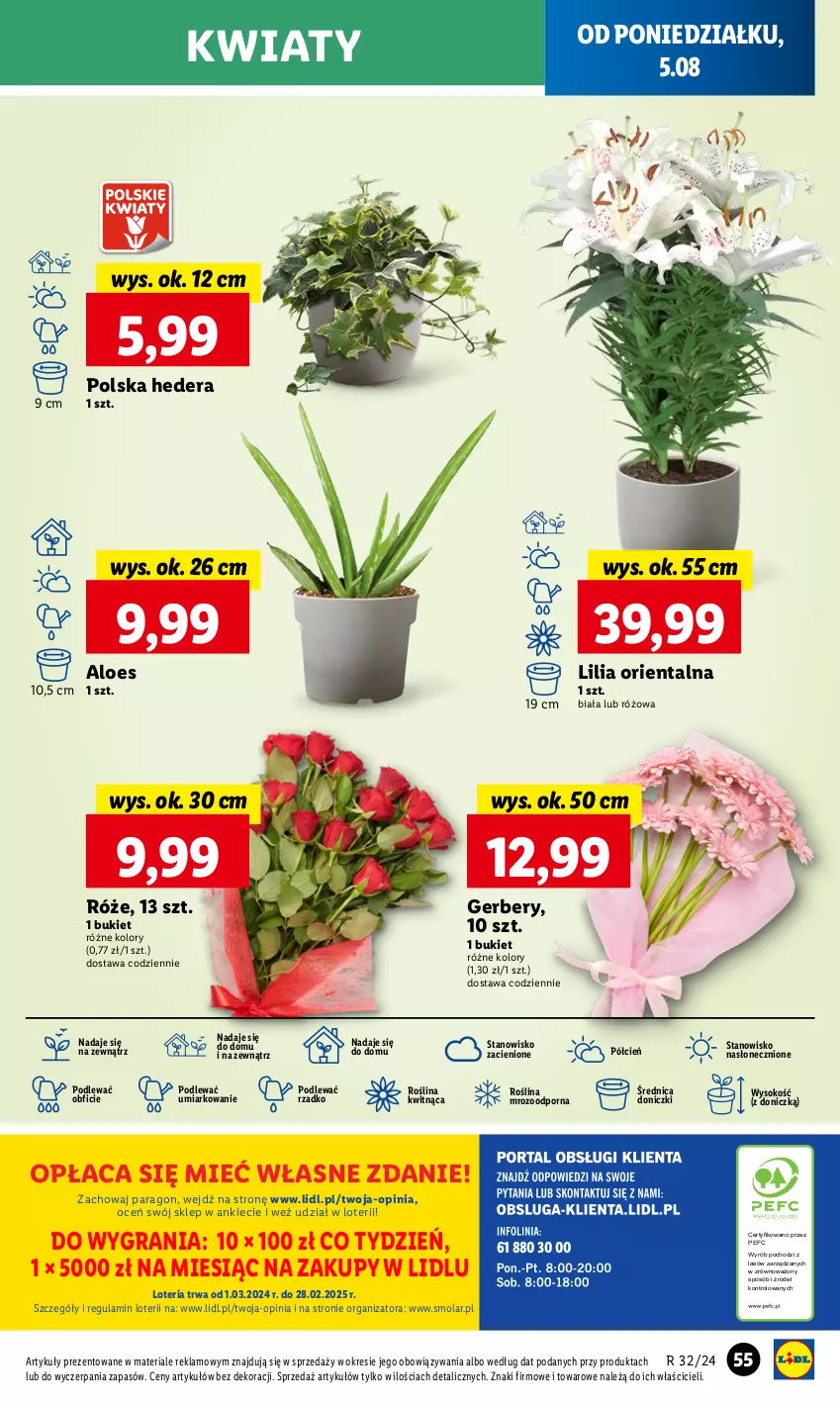 Gazetka promocyjna Lidl - GAZETKA - ważna 05.08 do 07.08.2024 - strona 59 - produkty: Bukiet, Cień, Gerber, Gra, Mola, O nas, Por, Sok