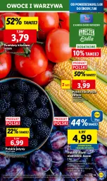 Gazetka promocyjna Lidl - GAZETKA - Gazetka - ważna od 07.08 do 07.08.2024 - strona 15 - produkty: Warzywa, Ser, Jeżyny, Owoce, Chleb, Pomidory, Kukurydza