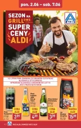 Gazetka promocyjna Aldi - Oferta weekendowa - Gazetka - ważna od 07.06 do 07.06.2025 - strona 10 - produkty: Piwa, Piwo, Gra, Karp, Grill, Captain Jack