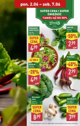 Gazetka promocyjna Aldi - Oferta weekendowa - Gazetka - ważna od 07.06 do 07.06.2025 - strona 9 - produkty: Inka, Sałat, Mieszanka sałat, Boczniak, Szpinak, Fa