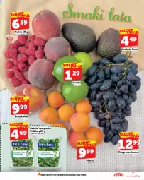 Gazetka promocyjna Topaz - Gazetka - Gazetka - ważna od 16.07 do 16.07.2025 - strona 7 - produkty: Top, Roszponka, Morela, Rukola, Wino