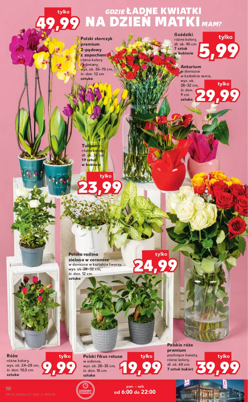 Gazetka promocyjna Kaufland - OFERTA TYGODNIA - ważna 19.05 do 25.05.2022 - strona 10 - produkty: Bukiet, Róża, Ser, Storczyk, Tulipan