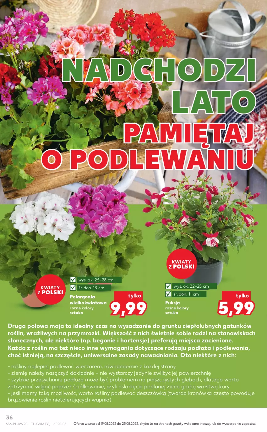 Gazetka promocyjna Kaufland - OFERTA TYGODNIA - ważna 19.05 do 25.05.2022 - strona 36 - produkty: Grunt, LG, Mięta