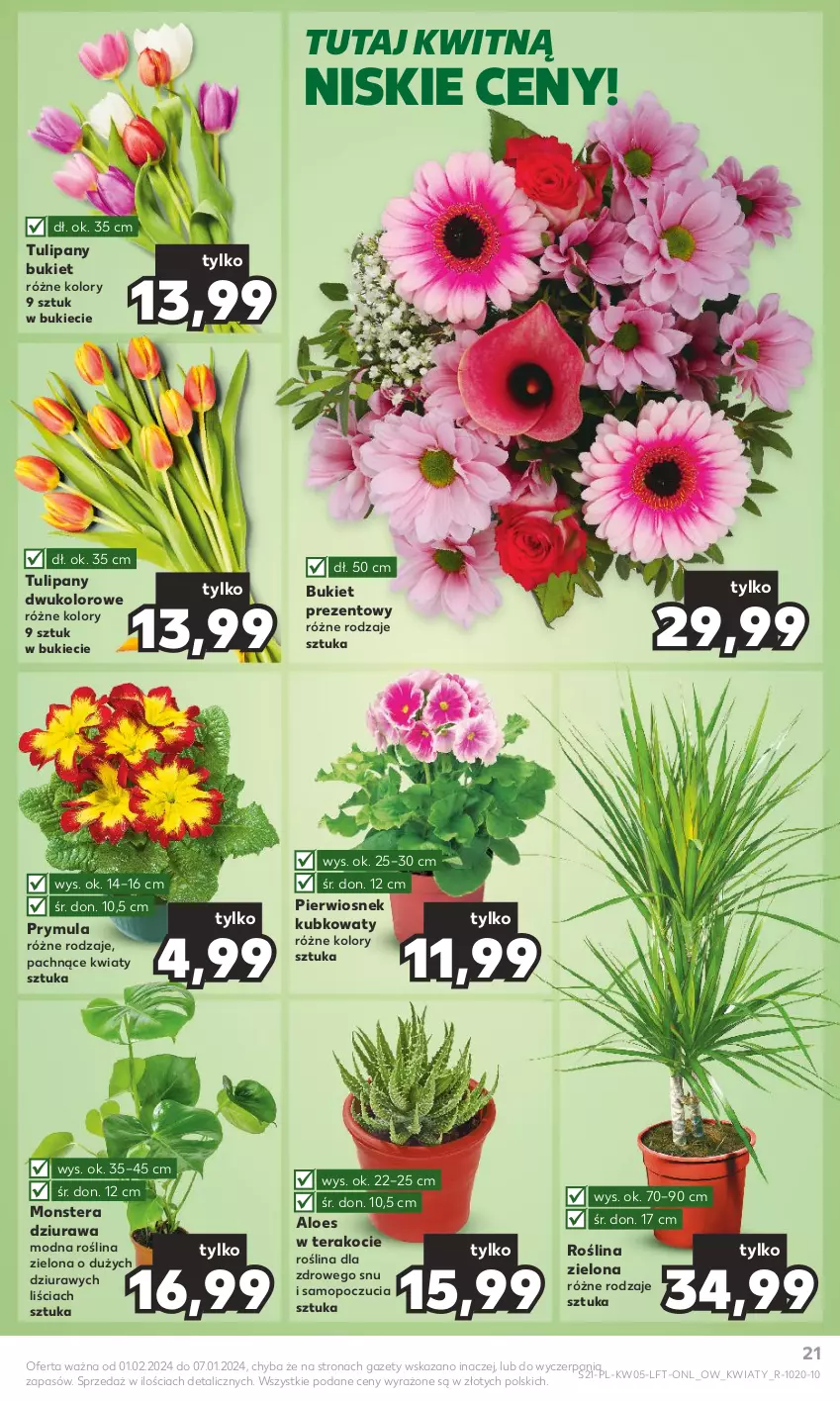 Gazetka promocyjna Kaufland - Gazetka tygodnia - ważna 01.02 do 07.02.2024 - strona 21 - produkty: Bukiet, Koc, Mop, Prymula, Tera, Tulipan