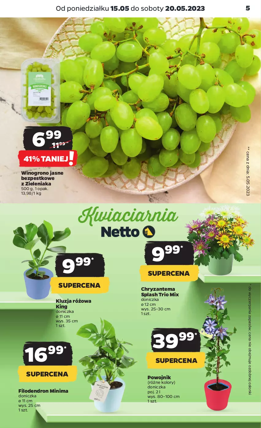 Gazetka promocyjna Netto - Artykuły spożywcze - ważna 15.05 do 20.05.2023 - strona 5 - produkty: Chryzantema, Dron, Wino