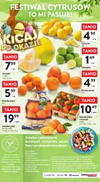 Gazetka promocyjna Intermarche - Gazetka Intermarche - Gazetka - ważna od 20.03 do 20.03.2024 - strona 15 - produkty: Piec, Sałatka, Top, Ser, Kawa, Pomarańcze, Dres, Sałat, Pomelo, Talerz, Buraki, Miód, Limonka, Natka pietruszki, Ocet, Grejpfrut