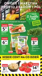 Gazetka promocyjna Intermarche - Gazetka Intermarche - Gazetka - ważna od 20.03 do 20.03.2024 - strona 18 - produkty: Piec, Ziemniaki, Sałat, Natka pietruszki, Pomidor malinowy