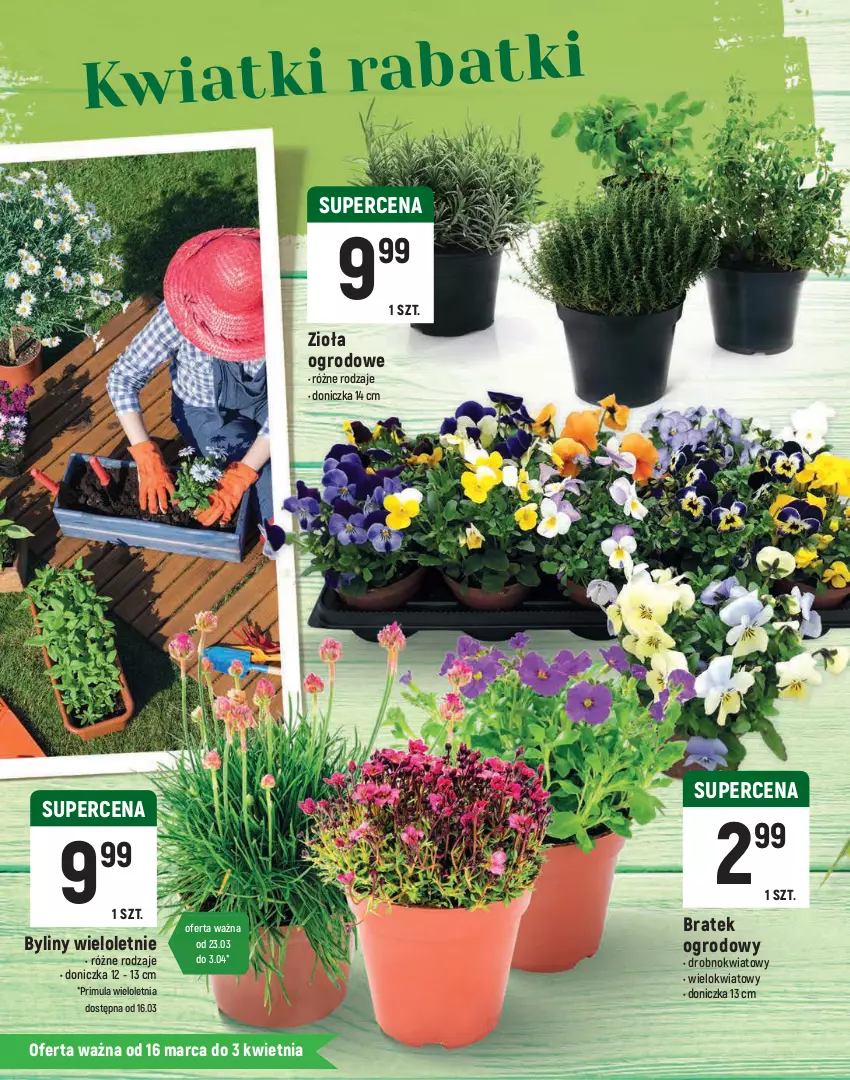 Gazetka promocyjna Intermarche - Katalog Wielkanocny - ważna 16.03 do 03.04.2021 - strona 18 - produkty: Bukiet, Gerber, Piwo, Primula, Znicz