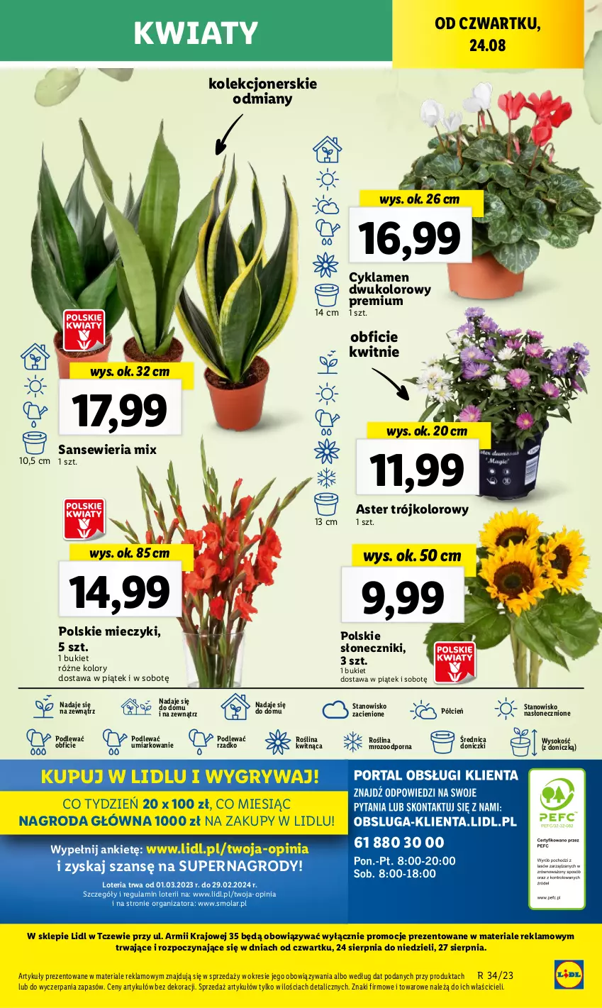 Gazetka promocyjna Lidl - GAZETKA - ważna 24.08 do 27.08.2023 - strona 64 - produkty: Bukiet, Cień, Cyklamen, Gry, Miecz, Mola, O nas, Por, Sok