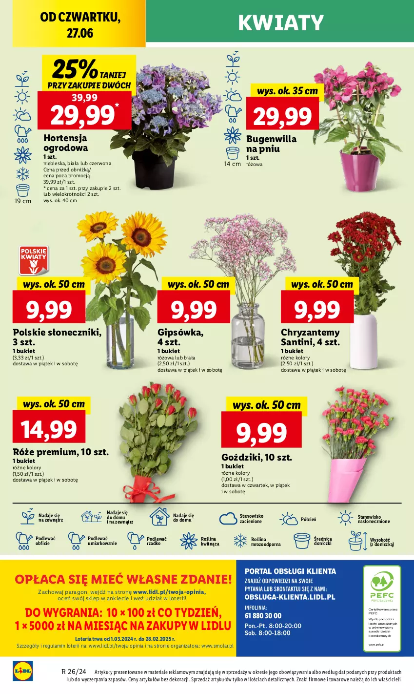 Gazetka promocyjna Lidl - GAZETKA - ważna 27.06 do 30.06.2024 - strona 40 - produkty: Bukiet, Cień, Gra, Mola, O nas, Por, Sok