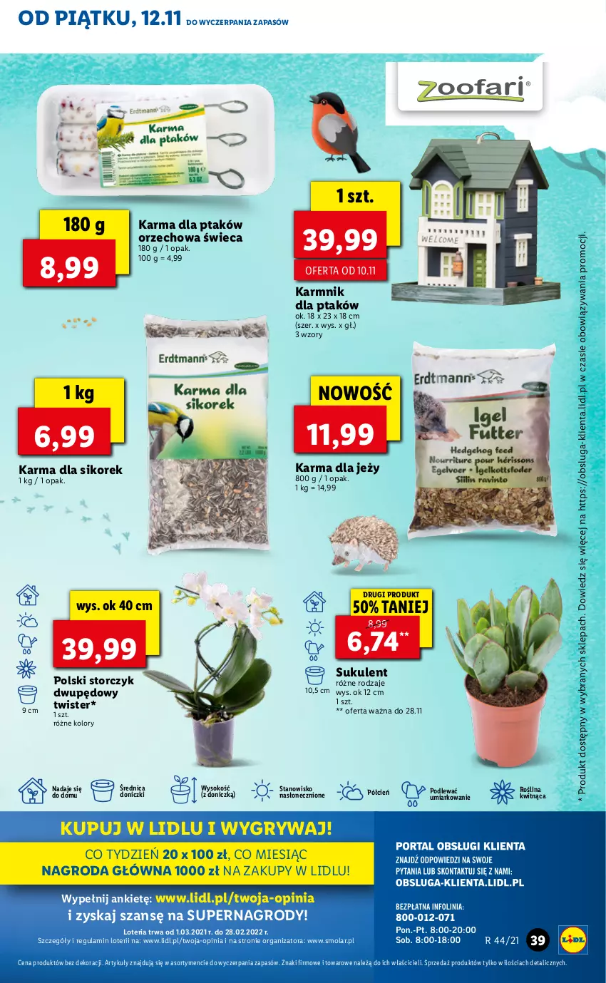 Gazetka promocyjna Lidl - GAZETKA - ważna 12.11 do 14.11.2021 - strona 39 - produkty: Cień, Gry, Mola, O nas, Sok, Storczyk, Sukulent