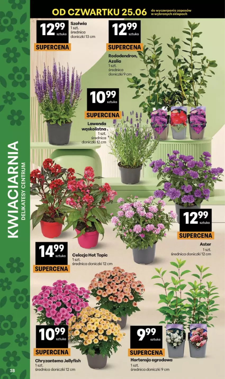 Gazetka promocyjna Delikatesy Centrum - Franczyza DC26 Czwartek - ważna 25.06 do 01.07.2026 - strona 38 - produkty: Chryzantema, Dron, Kosz, Top