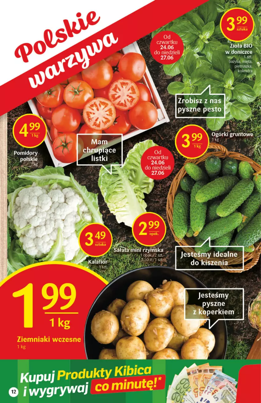 Gazetka promocyjna Delikatesy Centrum - Gazetka Delikatesy Centrum - ważna 24.06 do 30.06.2021 - strona 12 - produkty: Bazyl, Bazylia, Gry, Mięta, Pesto, Pietruszka, Pomidory, Sałat