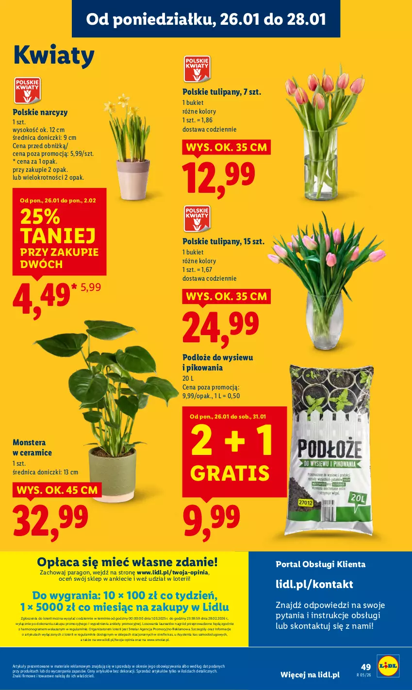 Gazetka promocyjna Lidl - GAZETKA - ważna 26.01 do 28.01.2026 - strona 49 - produkty: Bukiet, Gra, Laur, Mola, Narcyz, Por, Portal, Sok, Tera, Tulipan