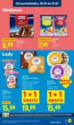 Gazetka promocyjna Lidl - GAZETKA - Gazetka - ważna od 28.01 do 28.01.2026 - strona 41 - produkty: Gra, Kawa, Lody, Brownie
