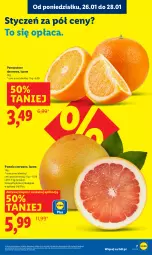 Gazetka promocyjna Lidl - GAZETKA - Gazetka - ważna od 28.01 do 28.01.2026 - strona 7 - produkty: Ser, Pomarańcze, Pomelo, Deser