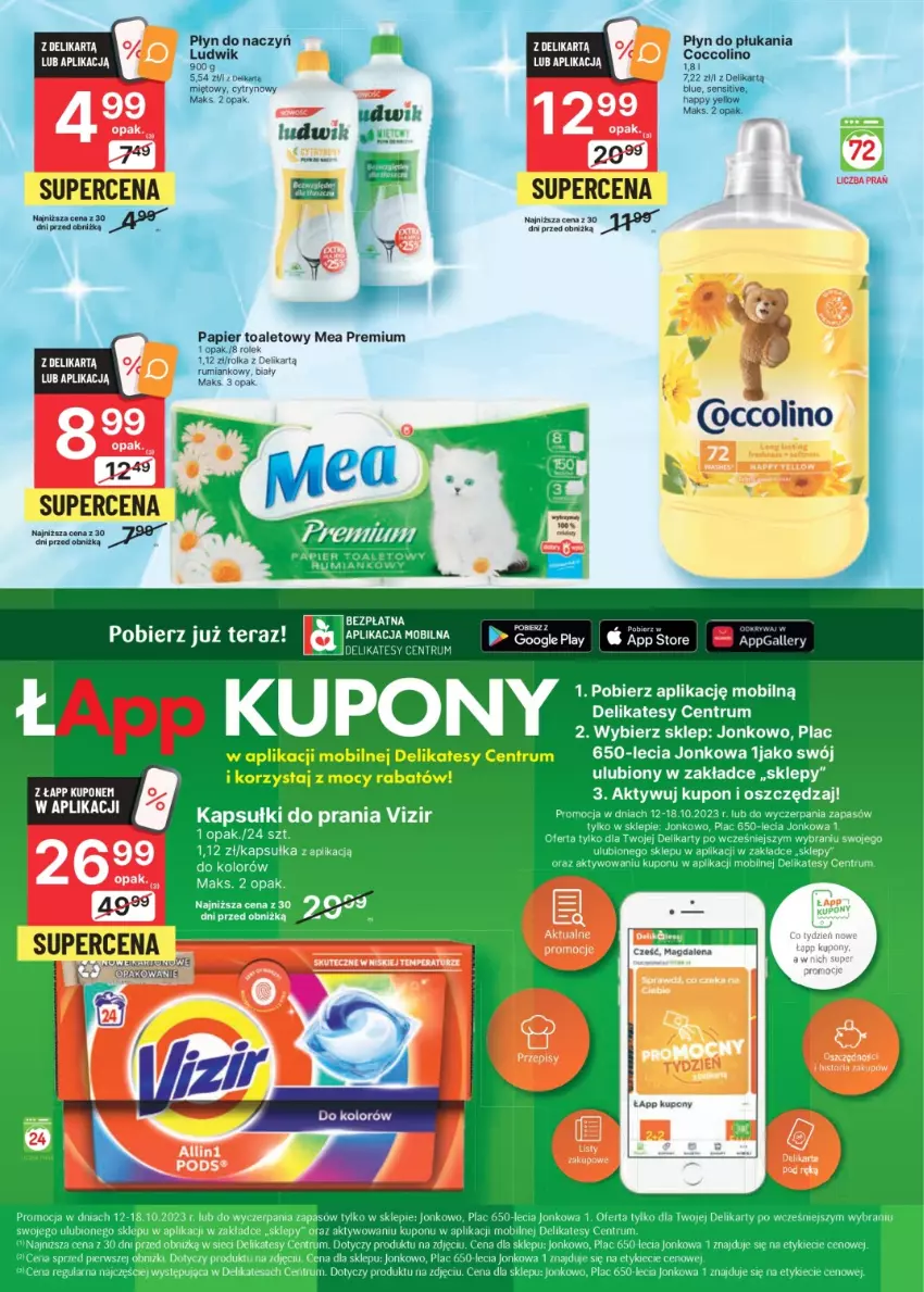 Gazetka promocyjna Delikatesy Centrum - Oferta specjalna Jonkowo 12-18.10.2023 - ważna 12.10 do 18.10.2023 - strona 4 - produkty: Fa, Ludwik, Mobil, Papier, Papier toaletowy, Rum, Tera, Vizir